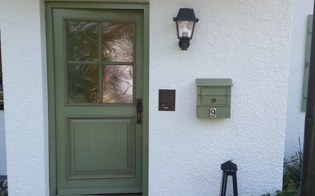 Grüne Haustür mit Glaseinsatz an weißer Hauswand, daneben Briefkasten mit der Nummer 9 und Außenlampe, davor Steinplatten und Pflanze.